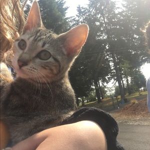 Meet your Posher, Lleilani